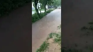 #gujarat #flood #india