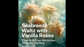Auraah Origin Collection - Layer 11 - Seabreeze Waltz with Vanilla Roses