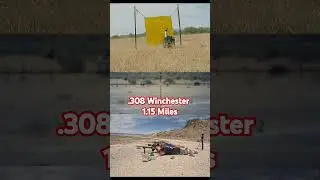 .308 Winchester, 1,15 мили. Цель &mdash; банка с краской. @DNTOptics