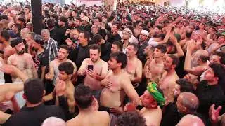 موشح موكب النجف في حرم الامام العباس الرادود هادي مريطي