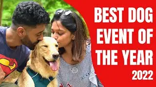 We Never Expected THIS to Happen at a Dog Event! 😱