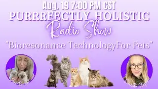 Bioresonance Technology for Pets | The Purrrfectly Holistic Radio Show