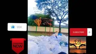 practice video 😌|| bd flipper || F2G || Flip2Gather