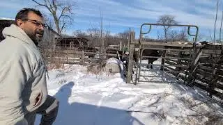 January 30, 2026 TGIF on the farm 