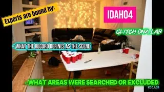 IDAHO4 | Когда протокол не может передать суть происшествия: эффект разобщенности в криминалистике