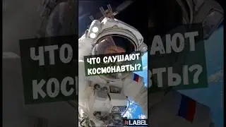 ЧТО СЛУШАЮТ КОСМОНАВТЫ? #rock #рок #русскийрок #LABEL #LABELBAND #LABEL.BAND