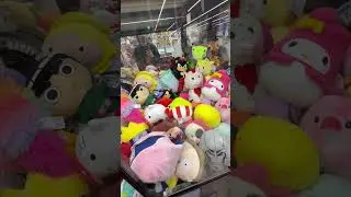 $5 Sugarloaf Claw Machine Challenge #2