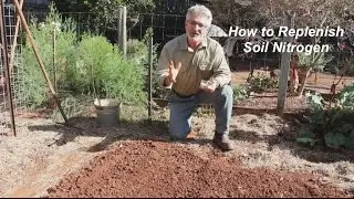 Replenishing Soil Nitrogen With Green Manure