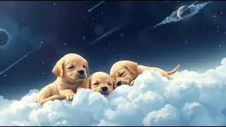 👶 Baby Sleep Aid Music 🌙  Calm & Safe  3+ Hours