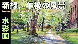 新緑、午後の風景  水彩画　酒井芳元