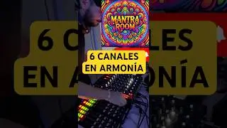 6 CANALES ⭐️🕺🏻 En armon&iacute;a total !! #model1 #playdifferently #music #techno #setup