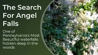 The Search for Angel Falls