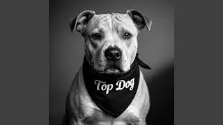 TOP DOGG