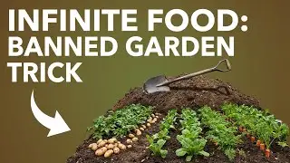 One WWII Garden Method Produced Infinite Food &mdash; Why Did Governments Ban It?