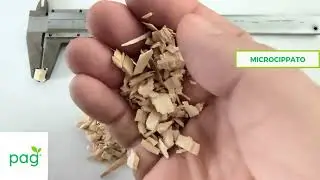 MICROCIPPATO DI CONIFERA