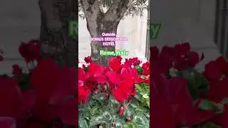 DOMUS SESSORIANA hotel Rome, Italy #domussessoriana