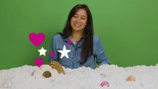 Tiny Paws, Big Comfort 🐹🐰Why Small Pets Love carefresh bedding the Most!