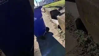 Walking to the pharmacy 