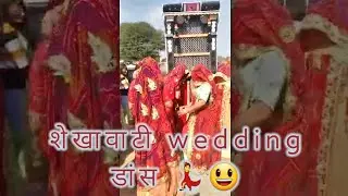 Shekhawati wedding dance💃😀 | Monika vlog