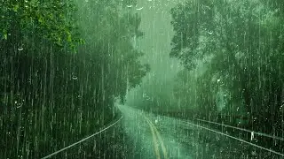 Bruits de pluie et de tonnerre pour dormir - Sons de pluie pour d&eacute;tendre votre esprit ce soir, Study