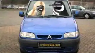 CAD - HAMBURGER WOMAN (2000)