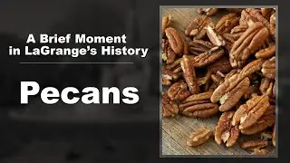 A Brief Moment in LaGrange's History: Pecans