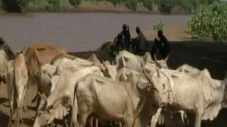 DASSANECH-TRIBE - TURMI MARKET (Ethiopia)