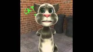 Talking Tom (cso)
