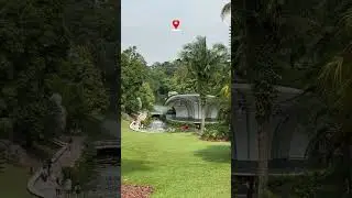 Most Beautiful Places in Singapore 🇸🇬 #nature #explore #adventure #travel