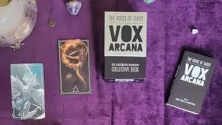 Deck Flip Through: The VOX Arcana - The Voice of Tarot