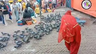 Kathmandu baudha nath // काठमाडौ बौदनाथ घुम्दै // subas bomjan