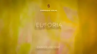 DaniDelito NSP - 04 Amarillo - Euforia - Color