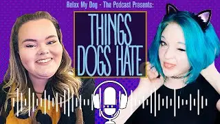Things Dogs HATE!