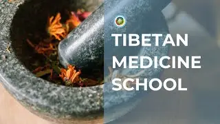 What is Traditional Tibetan Medicine?