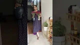 Minivlog#193 ||💁Most Requested ||July 13,2023#shorts#shortsfeed#youtube#vlog#tamil#minivlog#tips