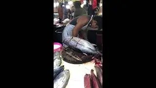 Slow fish cutting for beginner guide (Live) 🤔 #fish #fishcutting #tuna #seafood #fishing