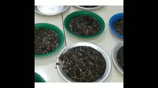 طريقه عمل البخور العدني