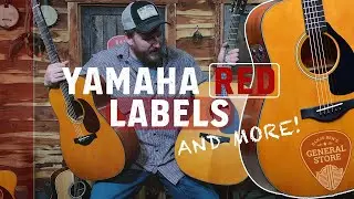 Обзор гитар Yamaha в магазине Banjo Ben's General Store