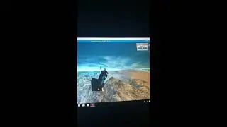 Some glitches I found in wolves life beta!