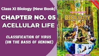 Ch 5 Acellular Life | Classification of virus on the basis of genome | Class 11 biology| Sindh board