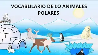 VOCABULARIO DE LOS ANIMALES POLARES EN INGL&Eacute;S Y ESPA&Ntilde;OL/INGL&Eacute;S PARA NI&Ntilde;OS/ANIMALES DEL POLO