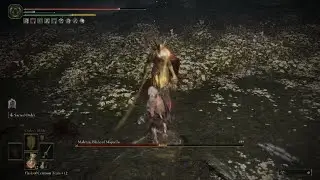 Treespear vs Malenia