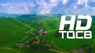 Munnar - the Hill Station of Kerala in Idukki  | India | HD