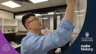 Properties of task vectors | Researcher Spotlight – Dr Frederic Zhang