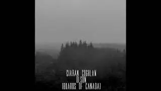 Ciaran Coghlan - Olson (Boards of Canada) Post-metal cover
