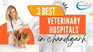 3 Best Veterinary Hospitals in Chandigarh | Vet hospitals | Govt pet hospital in chandigarh