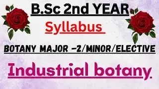 B.Sc 2nd year, botany paper:-2(industrial botany),minor/major/elective.
