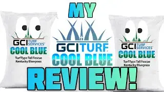 GCI Cool Blue; Should You Buy It??? #CoolBlue #GCIturf #LawnReview