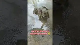 Me after listening to motivational speech 🥹 #vivekbindra #sandeepmaheshwari #motivation #meme