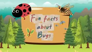 Fun and Interesting Facts about Bugs/ Let&rsquo;s be Curious!